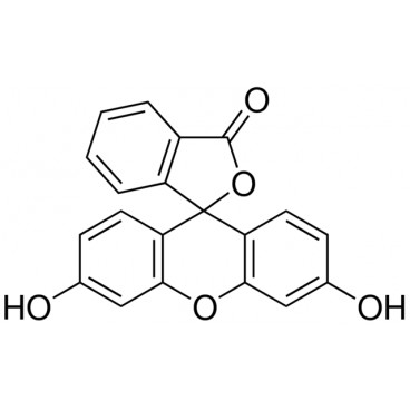 Fluorescein, free acid for fluorescence