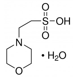 MES monohydrate, 2-(N-Morpholino)ethanesulfonic acid monohydrate, 99.5+%