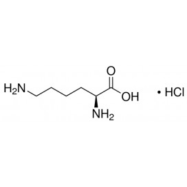 L-Lysine hydrochloride, 98.0+%