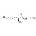 L-Lysine hydrochloride, 98.0+%